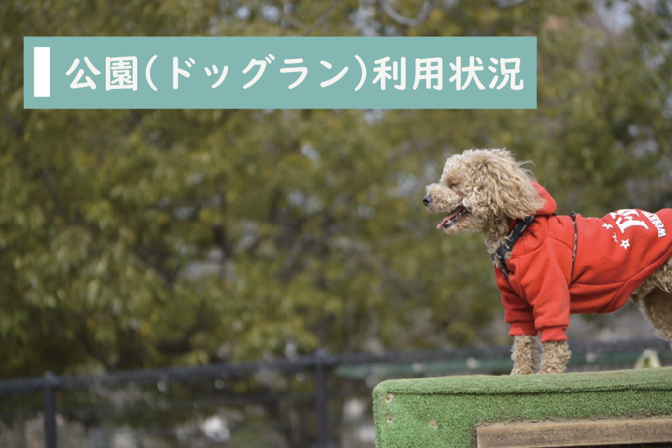 コロナウイルス最新情報 東京都の公園 ドッグラン 利用状況一覧 Equall Life
