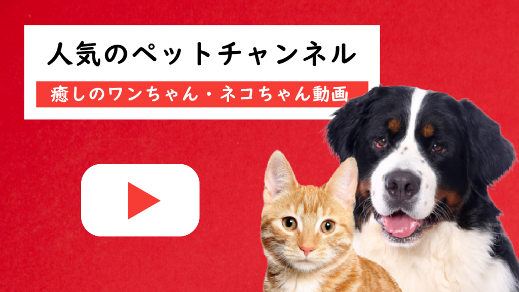 癒しの犬猫動画が見れる人気のペットyoutube ユーチューブ チャンネルランキング Equall Life