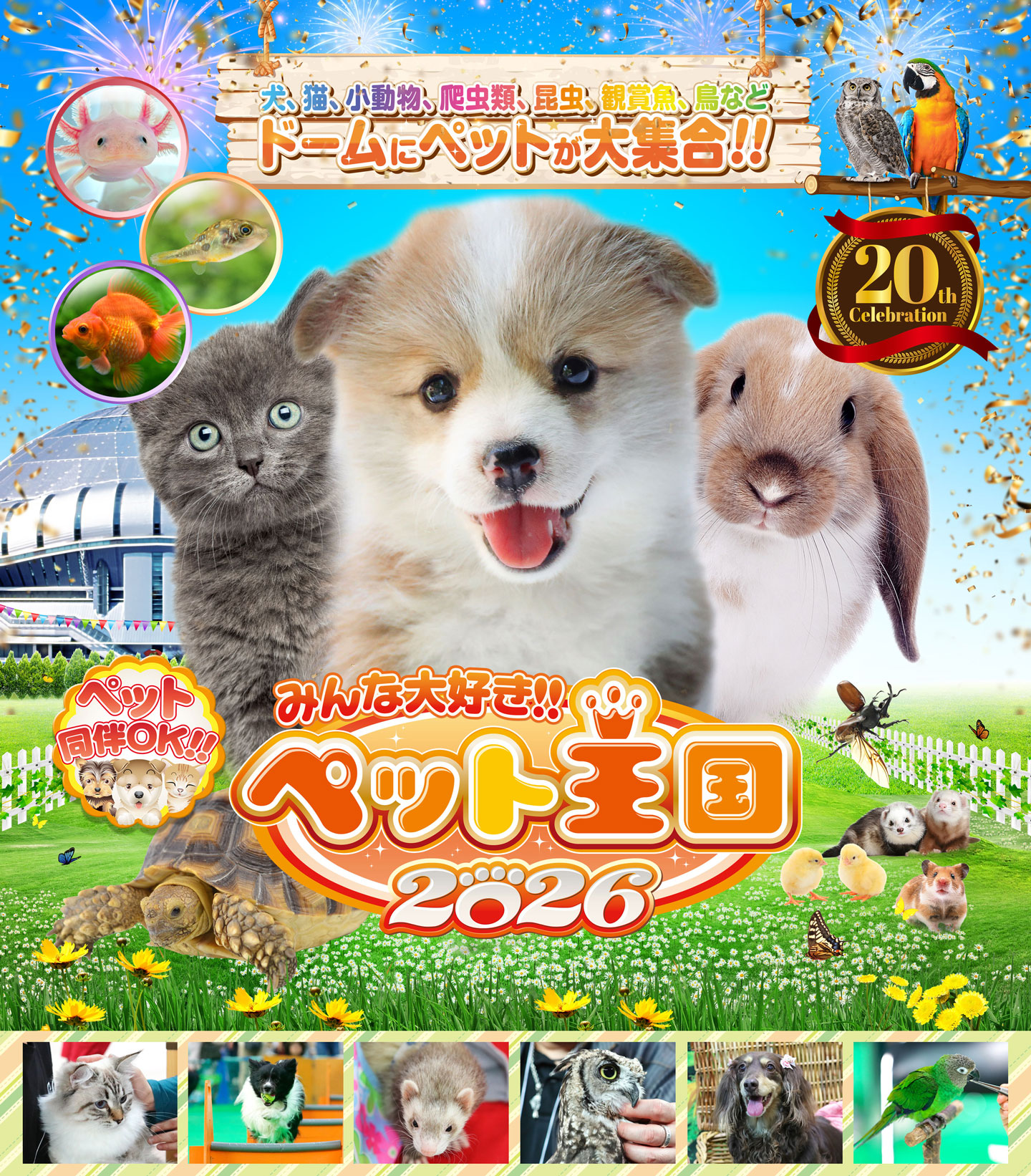 ペット王国のメインビジュアル