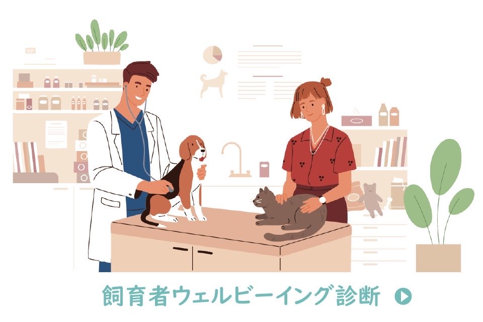 犬や猫に関する情報を見る